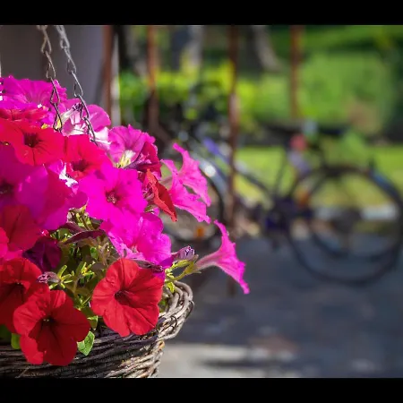 Apartamento Omalia *