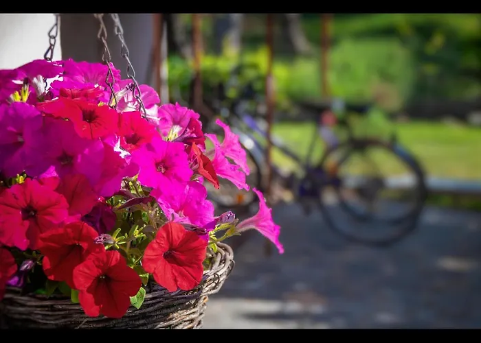 Apartamento Omalia *